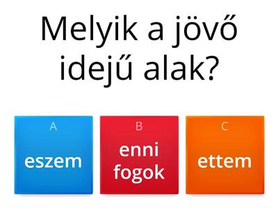 Melyik a jövő idejű alak?