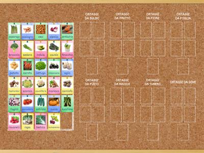 CLASSIFICAZIONE DEGLI ORTAGGI