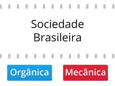 Sociedade Orgânica e Mecânica