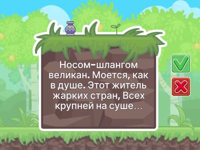 Загадки. Животные севера и жарких стран.