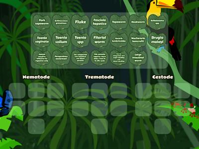 C13. Medical Helminthology