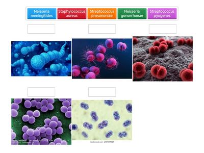 Сәйкестендіру