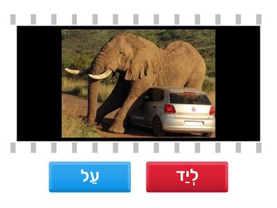 False or True עַל/לְיַד