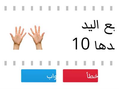 العدد 10