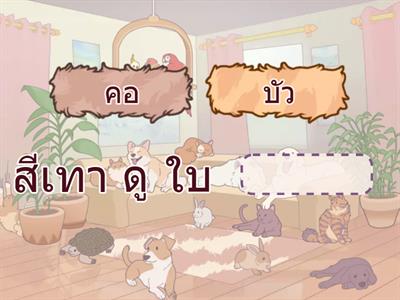 มานี 1.9 เลือกคำตอบที่ถูกต้อง