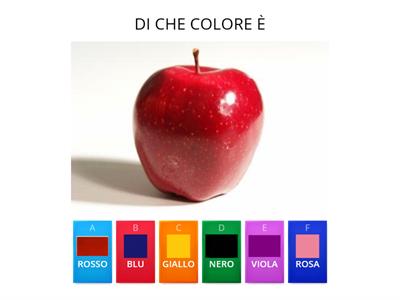 COLORI