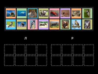 Фонематика Р и Л 