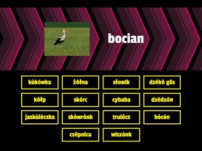  Ptôchë