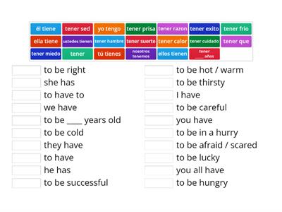  tener / tener expressions 