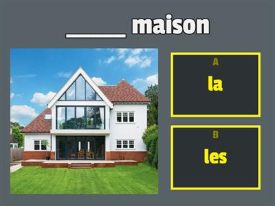 Pluriel vs singulier 6-7 ans