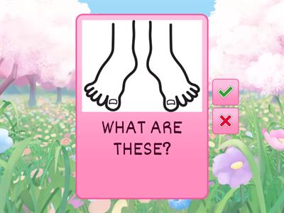 WeHelpU - WHAT IS THIS X WHAT ARE THESE?