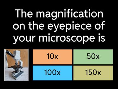 Compound Light Microscope