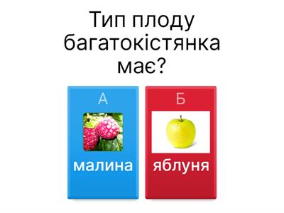 Різноманітність плодів НУШ