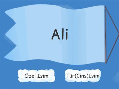 Özel-Tür(Cins)İsim 