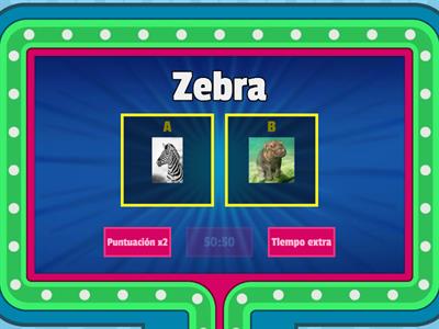 Animals quiz