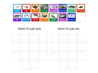 Phân loại TS theo nhiệt độ
