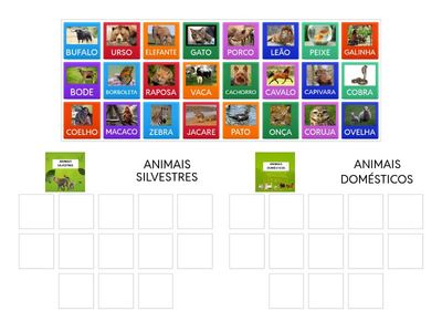 CLASSIFIQUE OS ANIMAIS DOMESTICOS E SILVESTRES (Pro. Bruna Monteiro)