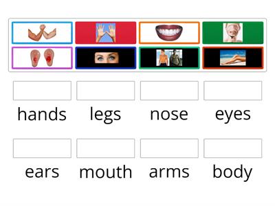 body parts