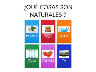 ¿NATURAL O ARTIFICIAL?