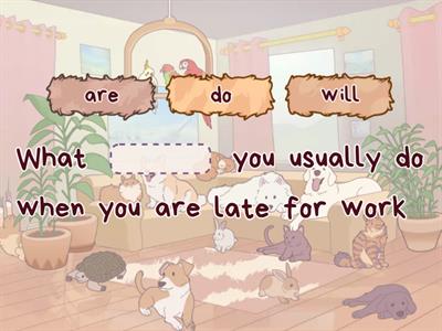 0 and 1 conditionals