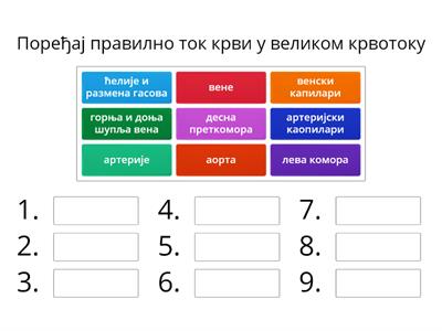 Крвни систем, велики крвоток  -7. разред 