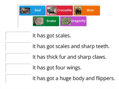 Animal body parts