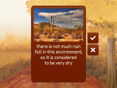 Environments Vocabulary
