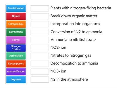 Nitrogen Cycle Quiz