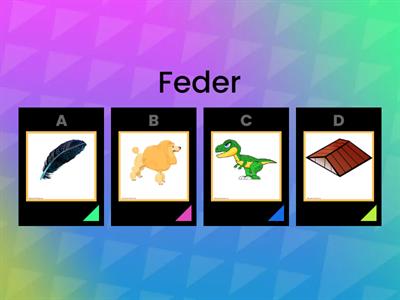 Quiz - Wörter mit D d richtig zuordnen