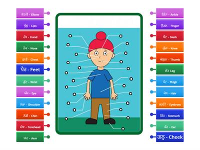 Parts of Body in Panjabi