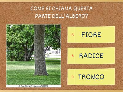 LE PARTI DELL'ALBERO, IL QUIZ