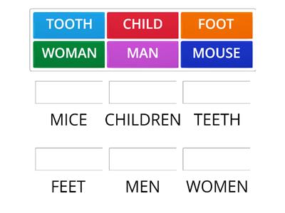 Plural Nouns