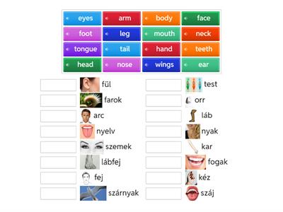 Get to the Top Plus 1 - 2d