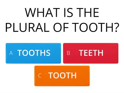 IRREGULAR  Plural