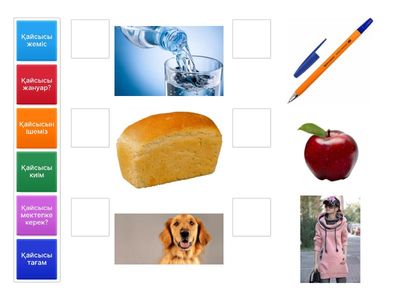 Сәйкестендіру 