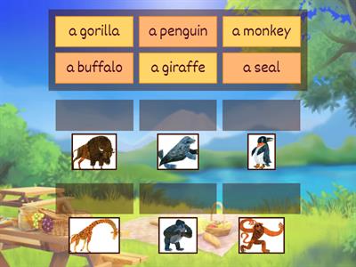 P1 T1 Reader - From Head To Toe by Eric Carle