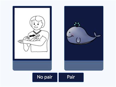 Auslan Ocean Matching