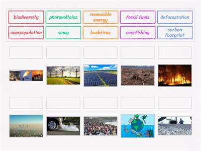 EAP I1-I2 - M2 Skillful 6 (Environment - match the words)