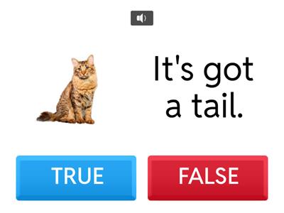  It's got/It hasn't got - body parts