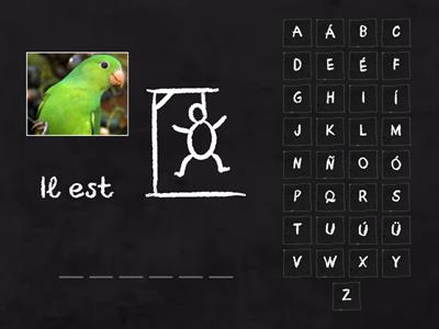 Francais A1 Le caractère