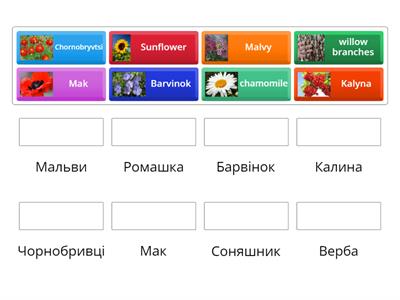 4 клас - рослини