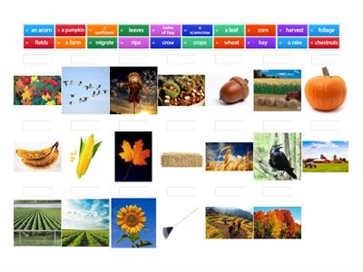 Autumn Vocabulary_Savvas