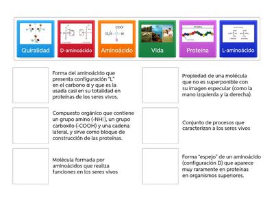 UNIR LAS PALABRAS CON SU DEFINICIÓN: => AMINOÁCIDOS