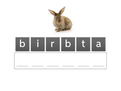 G4- WRITING PRACTICE 2