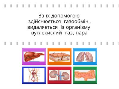 5 кл Пізнаємо природу. Видільна система