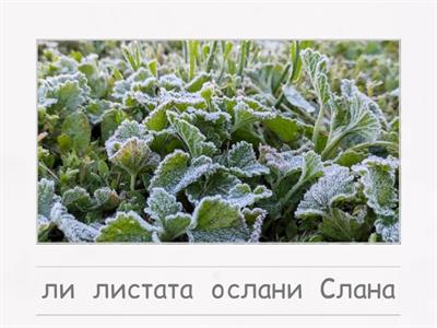 Подреждане на думи в изречение 