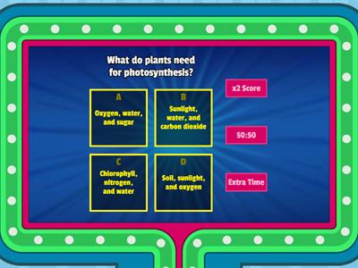 Plant and Human System Quiz (Primary 4)
