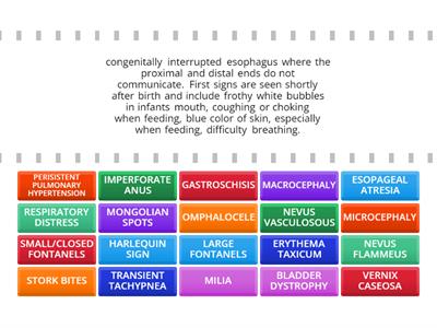 NEWBORN = POSTPARTUM 