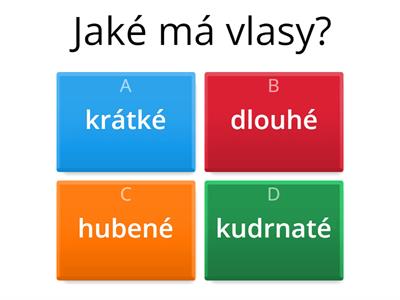 Čeština expres 3, Lekce 5, Jak vypadá?