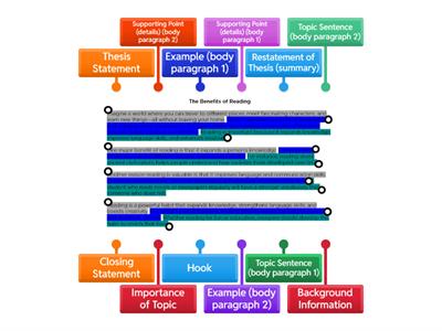 Essay Structure IIIB